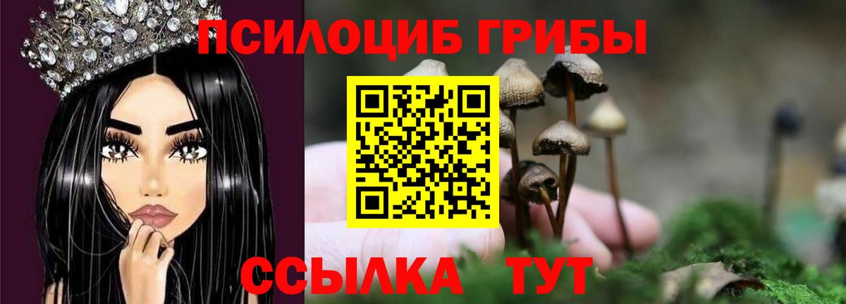 Галлюциногенные грибы MAGIC MUSHROOMS Шебекино